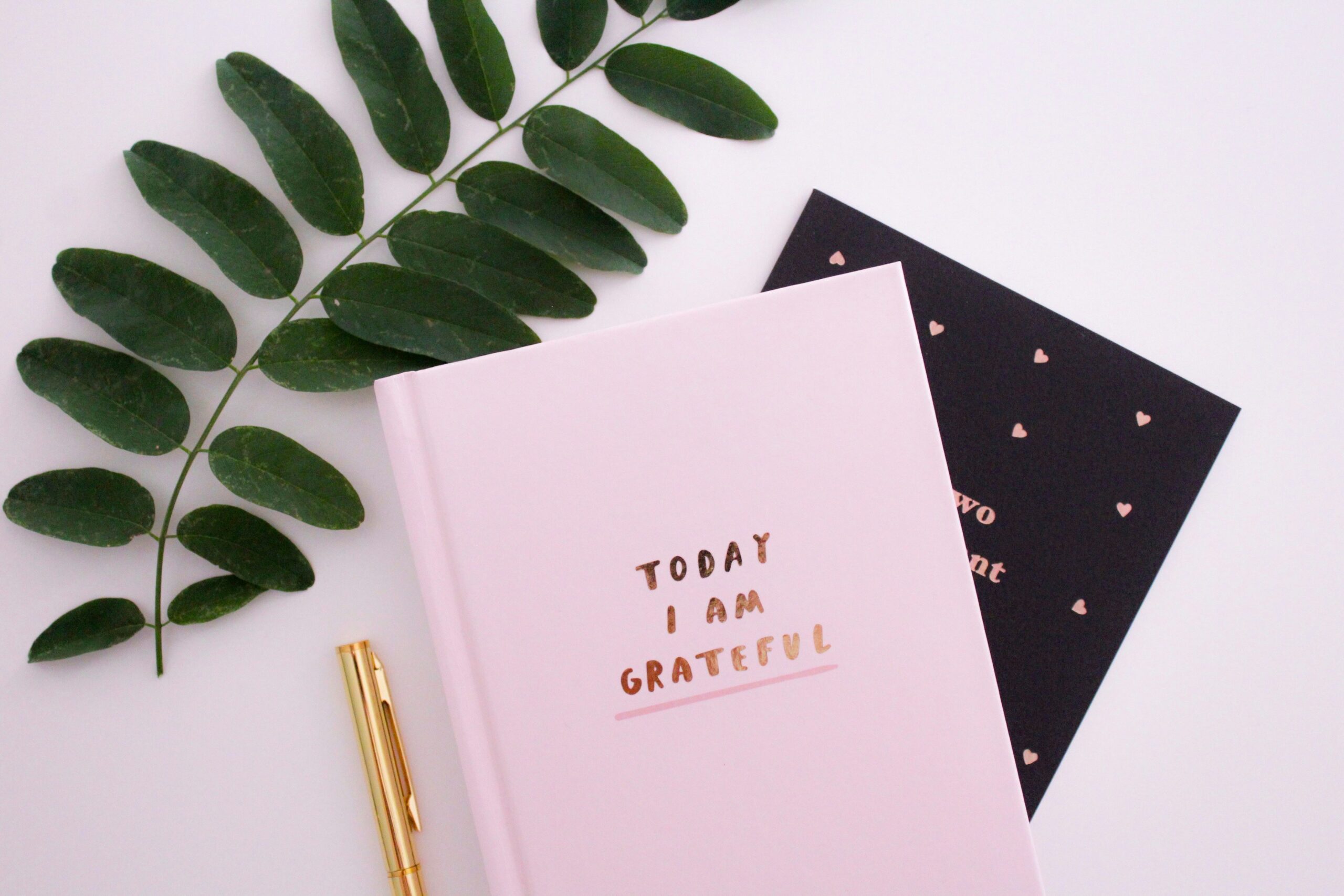 Caderno rosa escrito Today I Am Grateful ao lado de folha verde