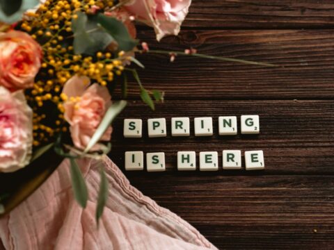 Equinócio da Primavera: o Que É e 5 Rituais Simples Para Recomeçar com Intenção